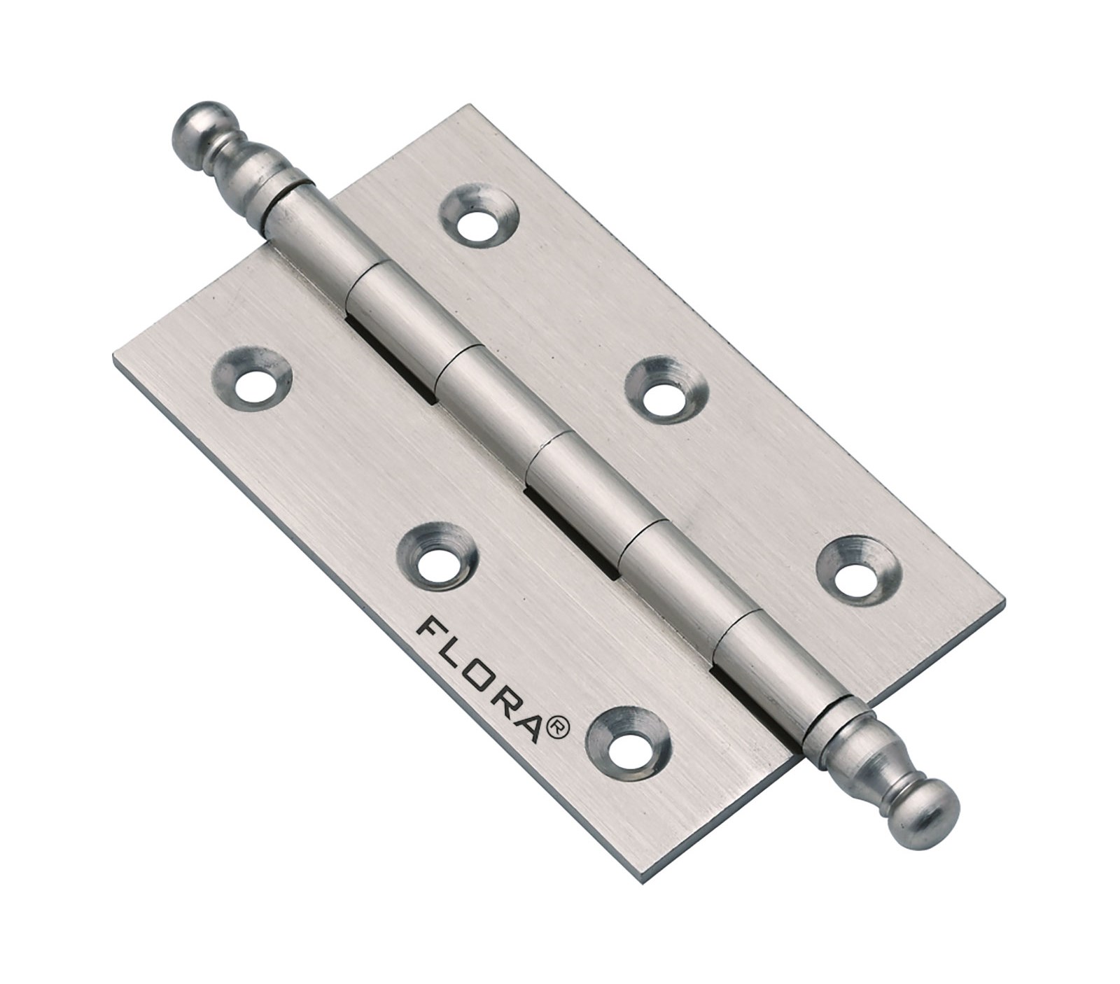 Brass Hinges