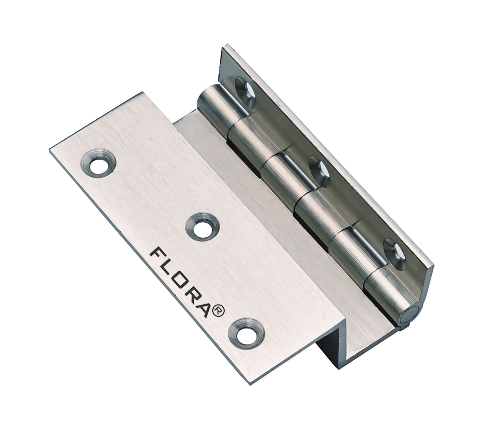 Brass Hinges